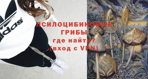 дмт Няндома