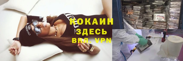 дмт Няндома
