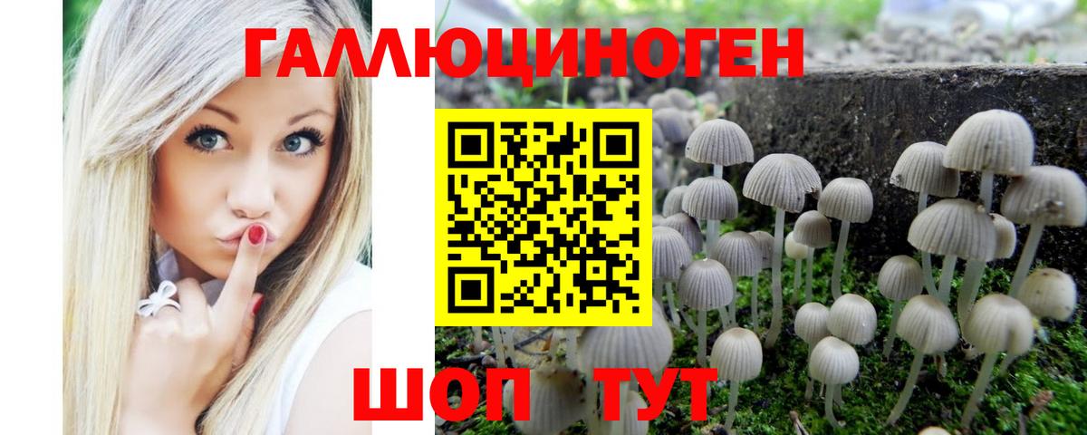 Псилоцибиновые грибы Magic Shrooms  Псилоцибиновые грибы мухоморы  Новокузнецк  Вход с VPN 